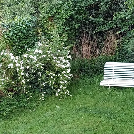 Bed & Breakfast La Charmeraie D'aumatre