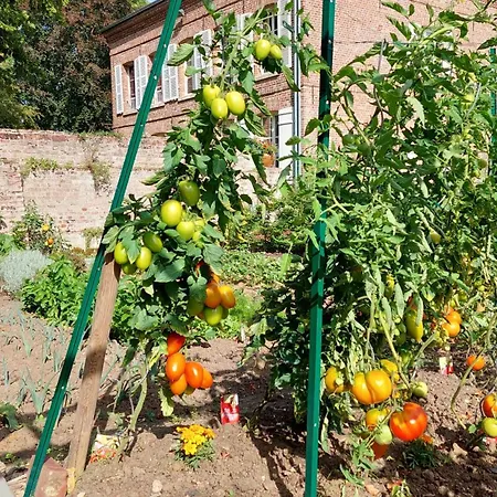 Couette-café La Charmeraie D'aumâtre