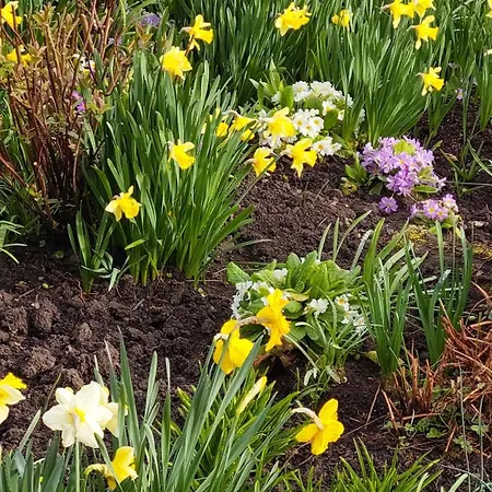 La Charmeraie D'aumâtre Couette-café *