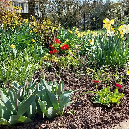 Couette-café La Charmeraie D'aumâtre *