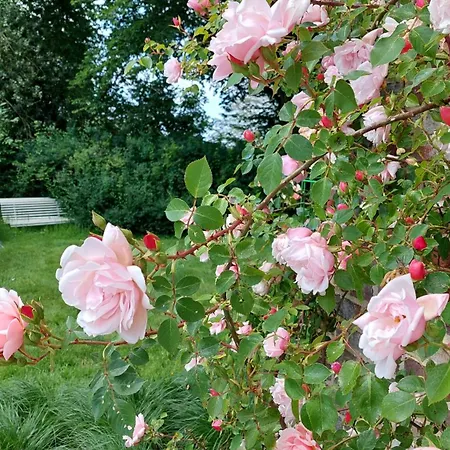 Couette-café La Charmeraie D'aumâtre