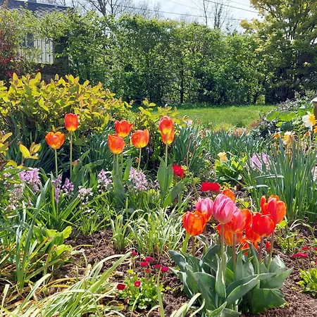 La Charmeraie D'aumâtre * Aumâtre