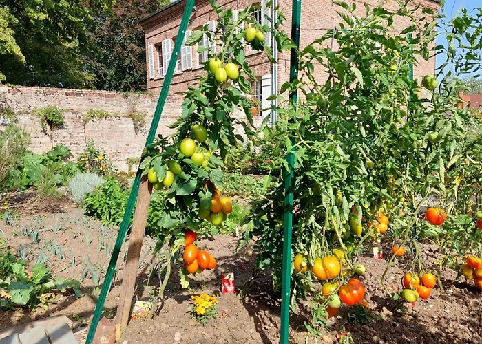 Frühstückspension La Charmeraie D'aumatre