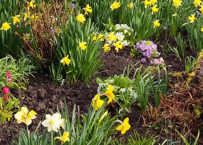 La Charmeraie D'aumatre Frühstückspension *