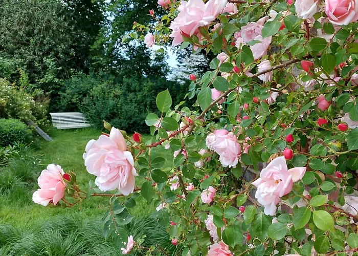 Frühstückspension La Charmeraie D'aumatre